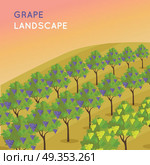 Vineyard Plantation of Grape-Bearing Vines. Wine landscape. Vineyard plantation of grape-bearing vines, grown for winemaking, raisins, table grapes and non-alcoholic juice. Vinegrove valley. Part of series of viniculture production. Vector. Стоковая иллюстрация, агентство Ingram Publishing / Фотобанк Лори