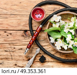 Oriental tobacco hookah with floral jasmine aroma. Smoke hookah with jasmine floral scent.Shisha concept.Modern hookah. Стоковое фото, агентство Ingram Publishing / Фотобанк Лори