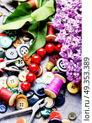 Tools for needlework and lilac branch. Collection of various sewing button,threads and scissors.Sewing accessories. Стоковое фото, агентство Ingram Publishing / Фотобанк Лори