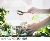 Elder flower syrup  cooking. Female hand pouring sugar from spoon in pot with Elderflowers on kitchen table at window. Home lifestyle. Стоковое фото, агентство Ingram Publishing / Фотобанк Лори