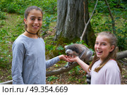 Kids having fun with ring tailed lemurs animals. Kids girls having fun with ring tailed lemurs animals outdoor. Стоковое фото, агентство Ingram Publishing / Фотобанк Лори