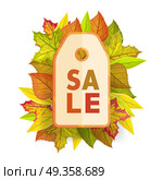 Autumn sale tag label template. Fall Pricetag. Autumn sale tag label template. Fall sale, autumn leaves, autumn background, discount tag price, season promotion, offer advertising. Foliage isolated. Autumn sale tag element. Vector illustration. Стоковая иллюстрация, агентство Ingram Publishing / Фотобанк Лори