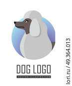 Dog Logo Vector of White Standard Poodle Isolated.. Dog logo vector illustration of white standard Poodle isolated. Single layer coat no undercoat is present composed of dense, curly fur. Medium size breed. Considered as hypoallergenic. Vector. Стоковая иллюстрация, агентство Ingram Publishing / Фотобанк Лори