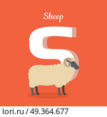 Animal alphabet vector concept. Flat style. Zoo ABC with domestic animal. Sheep standing on red background, letter S behind. Educational glossary. For children s books, textbooks illustrating. Animal Alphabet Concept in Flat Design. Animal Alphabet Concept in Flat Design. Стоковая иллюстрация, агентство Ingram Publishing / Фотобанк Лори