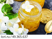 Delicious jasmine jam. Useful jam from the blossoming jasmine petals, healthy food. Стоковое фото, агентство Ingram Publishing / Фотобанк Лори