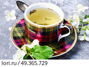 Herbal tea with jasmine. Teacup with tea from jasmine flowers.Green tea. Стоковое фото, агентство Ingram Publishing / Фотобанк Лори