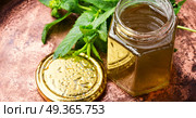 Jam from fresh mint. Aromatic curative jam from fresh mint leaves.Peppermint jelly.Green herbal tea. Стоковое фото, агентство Ingram Publishing / Фотобанк Лори