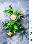 Mint essence oil in a small bottle and fresh leaves.Healing plants. Essential mint oil with green leaves. Essential mint oil with green leaves. Стоковое фото, агентство Ingram Publishing / Фотобанк Лори