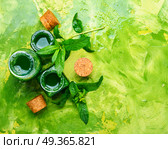 Mint essential oil in a glass bottle.Healing plants.Natural herbal cosmetics. Essential mint oil with green leaves. Essential mint oil with green leaves. Стоковое фото, агентство Ingram Publishing / Фотобанк Лори
