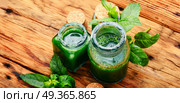 Mint essential oil in a glass bottle.Healing plants.Natural herbal cosmetics. Essential mint oil with green leaves. Essential mint oil with green leaves. Стоковое фото, агентство Ingram Publishing / Фотобанк Лори