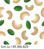 Cashew seamless pattern vector in flat design. Traditional snack. Healthy food. Nut ornament for wallpapers, polygraphy, textiles, web page design, surface textures. Isolated on white background.. Cashew Seamless Pattern Vector in Flat Design.. Cashew Seamless Pattern Vector in Flat Design. Стоковая иллюстрация, агентство Ingram Publishing / Фотобанк Лори