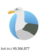 Gull Flat Design Vector Illustration. Gull vector. Sea bird wildlife in flat style design. Illustration for prints, vacation advertising, childrens books illustrating. Beautiful Seagull bird seating isolated on white. Стоковая иллюстрация, агентство Ingram Publishing / Фотобанк Лори