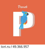 Animal alphabet vector concept. Flat style. Zoo ABC with tropical bird. Blue cockatoo parrot sitting on letter P on red background. Educational glossary. For children s books, textbooks illustrating. Animal Alphabet Concept in Flat Design. Animal Alphabet Concept in Flat Design. Стоковая иллюстрация, агентство Ingram Publishing / Фотобанк Лори