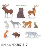 Forest Animals Set. Wildlife Characters. Vector. Forest animals set. Moose, boar, lynx, bobcat, bear, deer, wolf, hare, rabbit, fox, wild boar jaguar isolated on white background Wildlife characters Forester cartoon creatures Vector illustration. Стоковая иллюстрация, агентство Ingram Publishing / Фотобанк Лори