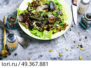 Vegetarian salad with mushrooms. Autumn salad with wild mushrooms and lettuce.Vegetarian food. Стоковое фото, агентство Ingram Publishing / Фотобанк Лори