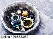 Pile of dry juniper berries. Pile of dry juniper berries prepared for healing teas and extracts. Стоковое фото, агентство Ingram Publishing / Фотобанк Лори