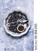 Pile of dry juniper berries. Pile of dry juniper berries prepared for healing teas and extracts. Стоковое фото, агентство Ingram Publishing / Фотобанк Лори
