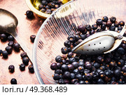 Pile of dry juniper berries. Pile of dry juniper berries prepared for healing teas and extracts. Стоковое фото, агентство Ingram Publishing / Фотобанк Лори