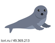 Earless seal flat style vector. Wild predatory animal. Northern fauna species. Cute baby of sea calf cartoon on white background. For nature concepts, children s books illustrating, printing materials. Earless seal Vector Illustration in Flat Design. Earless seal Vector Illustration in Flat Design. Стоковая иллюстрация, агентство Ingram Publishing / Фотобанк Лори