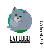 Cute grey cat playing with toy flat vector illustration isolated on white background. Purebred pet. Domestic friend and companion animal. For pet shop ad, hobby concept, breeding. Cute Grey Cat. Стоковая иллюстрация, агентство Ingram Publishing / Фотобанк Лори