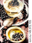Healing, therapeutic tea from dried juniper berries. Tea with juniper. Стоковое фото, агентство Ingram Publishing / Фотобанк Лори