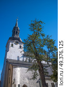  Alexander Nevsky Cathedral in Tallinn. Estonia. Europe. Стоковое фото, агентство Ingram Publishing / Фотобанк Лори