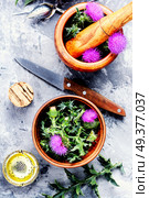 Wild healing herbs thistle in mortar.Herbal medicine.. Onopordum.Herbalism.Thistle. Стоковое фото, агентство Ingram Publishing / Фотобанк Лори