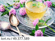 Cup of herbal tea made of wild clover.Tea concept. Healthy tea with clover. Стоковое фото, агентство Ingram Publishing / Фотобанк Лори