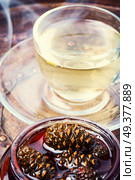 Healthy medicinal jam from pine cones for tea.Natural Medicine. Jam from pine cones for tea. Стоковое фото, агентство Ingram Publishing / Фотобанк Лори