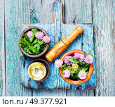 Clover or trefoil flower medicinal herbs.Healing herbs. Healing plant clover. Стоковое фото, агентство Ingram Publishing / Фотобанк Лори
