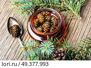 Homemade medicinal jam from pine cones.Natural Medicine. Jam from pine cones. Стоковое фото, агентство Ingram Publishing / Фотобанк Лори