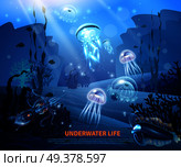 Underwater world sea life poster with transparent colorful jellyfishes coral reef sun rays misty blue background vector illustration  . Underwater Life Background Light Poster. Стоковая иллюстрация, агентство Ingram Publishing / Фотобанк Лори