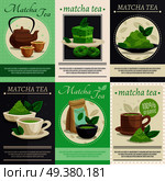 Japanese tea ceremony 6 mini banners poster with  green matcha powder teapot cups dessert set isolated vector illustration    . Green Matcha Tea Mini Banners . Стоковая иллюстрация, агентство Ingram Publishing / Фотобанк Лори
