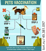 Pets compulsory vaccination orthogonal flowchart poster with 4 steps preventive care for optimal animals protection vector illustration. Pets Compulsory Vaccination Orthogonal Flowchart. Стоковая иллюстрация, агентство Ingram Publishing / Фотобанк Лори