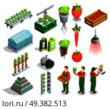 Hydroponic and aeroponic isometric icons set of fresh fruits and vegetables harvest orangery fertilizer symbols isolated vector illustration . Hydroponic And Aeroponic Isometric Icons. Стоковая иллюстрация, агентство Ingram Publishing / Фотобанк Лори