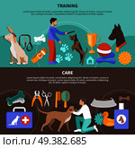 Dogs veterinary horizontal banners with flat images of training fetch prizes and vet equipment with text vector illustration. Dogs Vet Care Banners. Стоковая иллюстрация, агентство Ingram Publishing / Фотобанк Лори