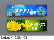 Realistic horizontal banners in blue and green color with dandelion flowers and fluff isolated on grey background vector illustration. Realistic Dandelions Banners. Стоковая иллюстрация, агентство Ingram Publishing / Фотобанк Лори