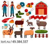 Sheep breeding products flat icons collection with farmers ewes ram wool meat milk cheese isolated vector illustration . Sheep Breeding Farm Set. Стоковая иллюстрация, агентство Ingram Publishing / Фотобанк Лори
