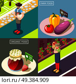 Organic food, vegetable harvest without pesticides, preserves from berries without sugar, isometric design concept isolated vector illustration. Organic Food Isometric Design Concept. Стоковая иллюстрация, агентство Ingram Publishing / Фотобанк Лори