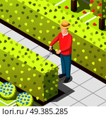 Gardener, employed worker with secateur during trimming of hedges, isometric background with bushes and trees vector illustration. Gardener Employed Worker Isometric Background. Стоковая иллюстрация, агентство Ingram Publishing / Фотобанк Лори