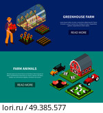 Isomeric set of two horizontal banners with greenhouse and various domestic animals grazing on farm 3d isolated vector illustration. Farm Isometric Banners Set. Стоковая иллюстрация, агентство Ingram Publishing / Фотобанк Лори