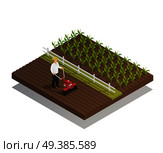 Farming machinery agricultural equipment isometric composition with hand push rotary garden cultivator harrowing and growing crops vector illustration . Farming Gardening Agricultural Equipment Composition. Стоковая иллюстрация, агентство Ingram Publishing / Фотобанк Лори