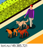 Employed worker during dogs walking on leashes on walkway with green bushes isometric background vector illustration. Dogs Walking Isometric Background. Стоковая иллюстрация, агентство Ingram Publishing / Фотобанк Лори