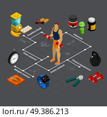 Fitness isometric flowchart composition with human character of weight lifter images of sport supplements  gymnastic apparatus vector illustration. Athletic Fitness System Flowchart. Стоковая иллюстрация, агентство Ingram Publishing / Фотобанк Лори