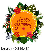 Hello summer colorful concept with beautiful tropical plants and flowers on white background flat vector illustration. Tropical Plants Concept. Стоковая иллюстрация, агентство Ingram Publishing / Фотобанк Лори