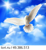 White pigeon background with sky sun and clouds realistic vector illustration. White Pigeon Background. Стоковая иллюстрация, агентство Ingram Publishing / Фотобанк Лори