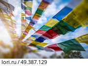 Many colorful waving prayer flags suspended between trees. Стоковое фото, агентство Ingram Publishing / Фотобанк Лори