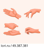 Human palm gestures set. Man hand in various positions with gathered together fingers and open palms handing something flat vectors set isolated on white background for business concepts  . Human Palms Holding Gestures Flat Vectors Set . Стоковая иллюстрация, агентство Ingram Publishing / Фотобанк Лори