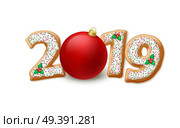 2019 New Year illustration. Gingerbread 2019 numbers, mistletoe berries and Xmas ball. Christmas and New Year gingerbread. Xmas cookies decoration. Greeting card, banner design. Isolated vector. 2019 New Year illustration. Стоковая иллюстрация, агентство Ingram Publishing / Фотобанк Лори