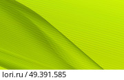 Vector EPS10 with transparency. Abstract composition with curve lines. Lines with illusion of blur effect. Place for text. Background for presentation. Digitally wallpaper.. abstract background, vector. Стоковая иллюстрация, агентство Ingram Publishing / Фотобанк Лори